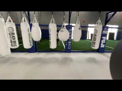 Fuji MMA Cage Panel video